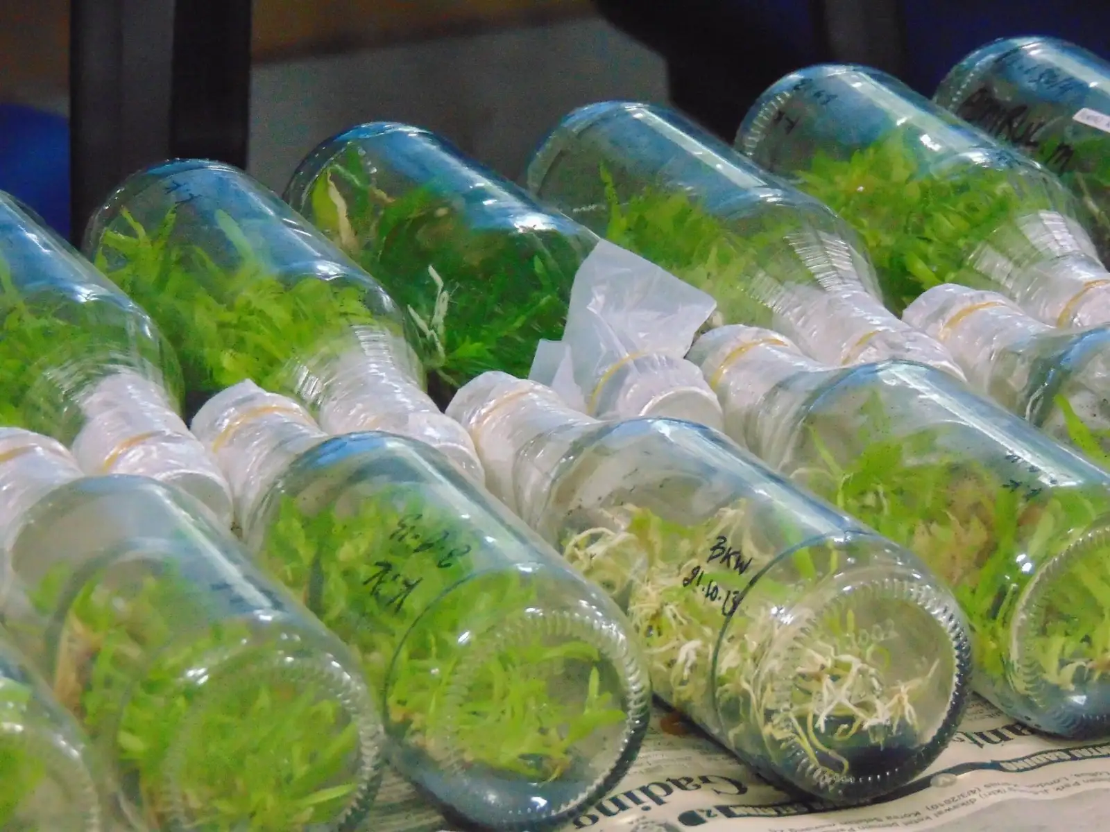 上海家用电器能效升级趋势与供应链选品策略分析
